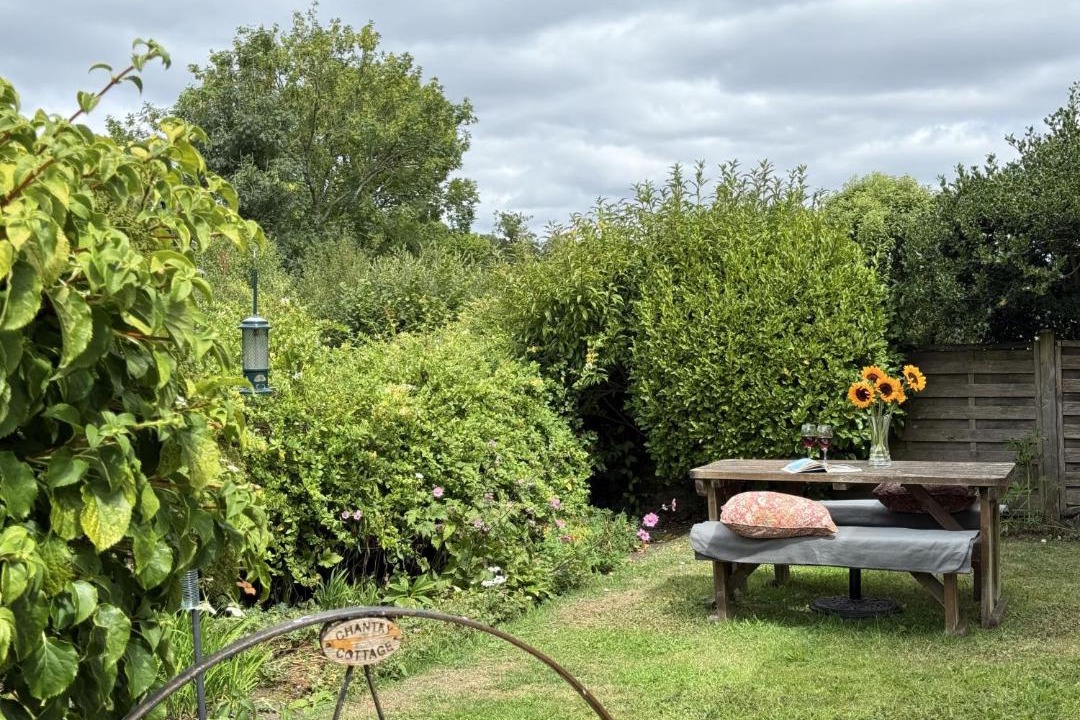 Photo of Others in Chard