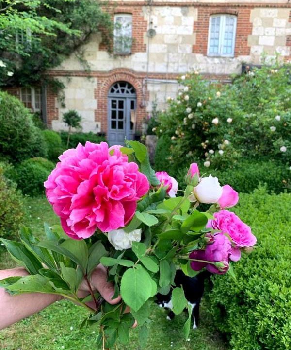 Photo of Others in Courtonne-les-Deux-Eglises