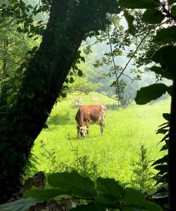 Photo of Others in Courtonne-les-Deux-Eglises