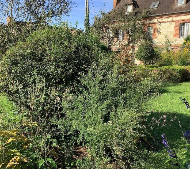 Photo of Others in Courtonne-les-Deux-Eglises