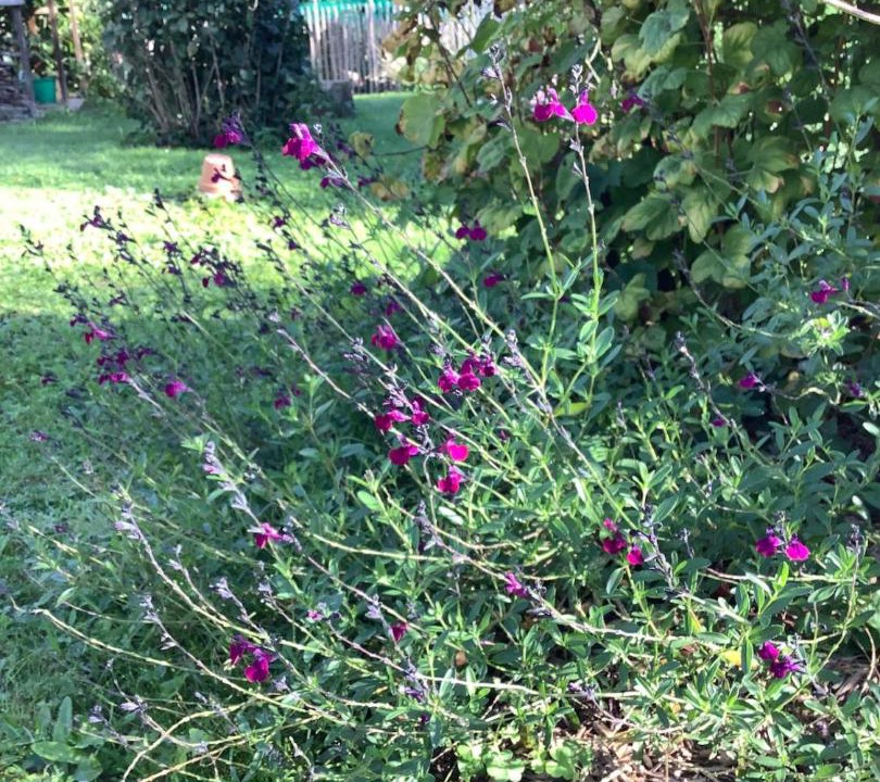 Photo of Others in Courtonne-les-Deux-Eglises