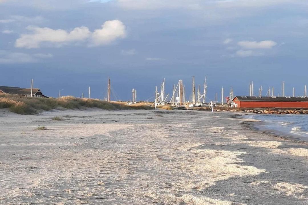 Photo of Others in Aalbaek