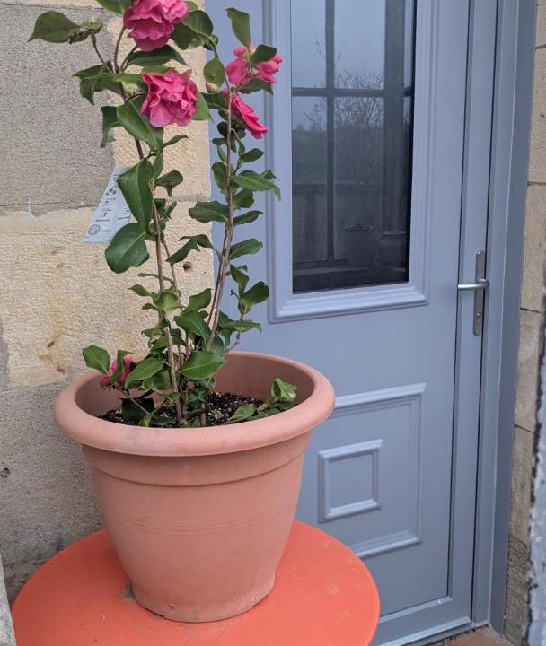 Photo of Others in Chevenon