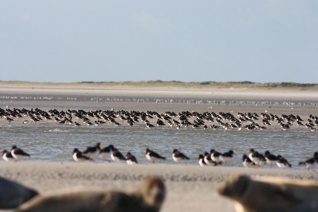 Photo of Others in Vitz-sur-Authie