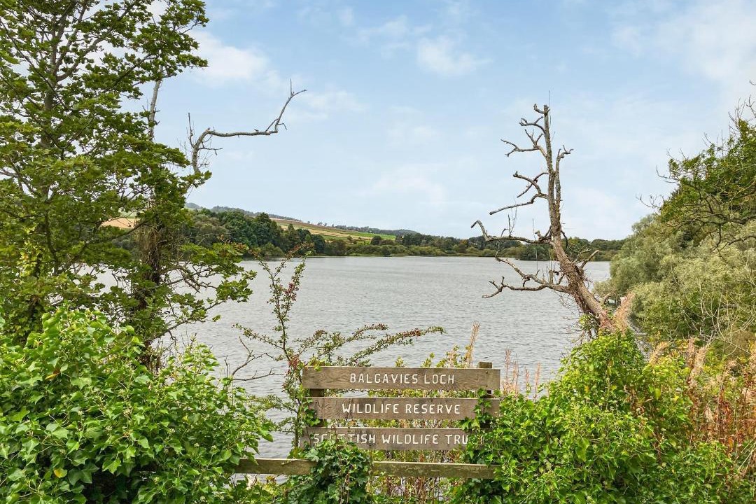 Photo of Others in Forfar