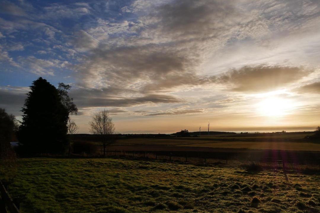 Photo of Others in Forfar