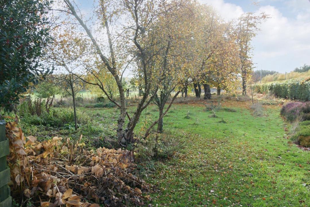 Photo of Others in Forfar