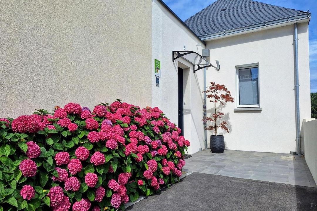 Photo of Others in Belz