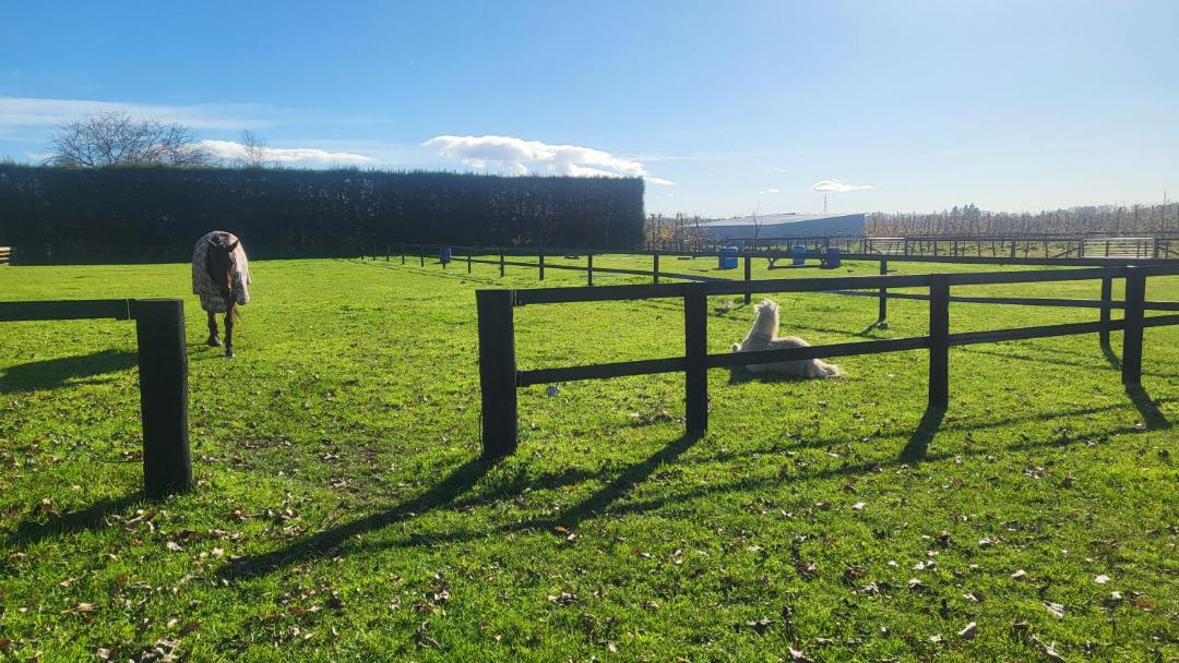 Photo of Others in Whakatu