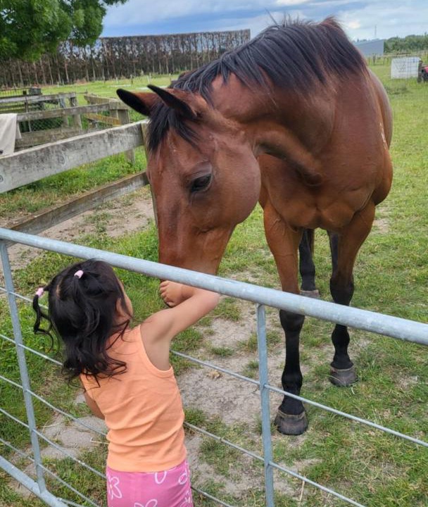 Photo of Others in Whakatu