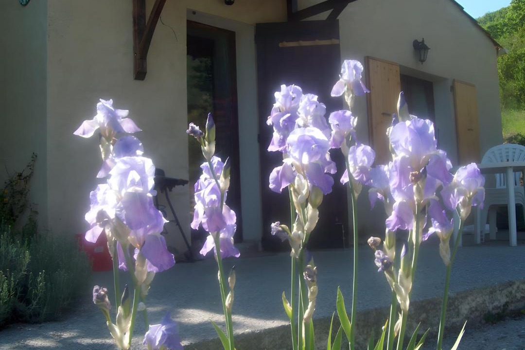 Photo of Others in La Robine-sur-Galabre