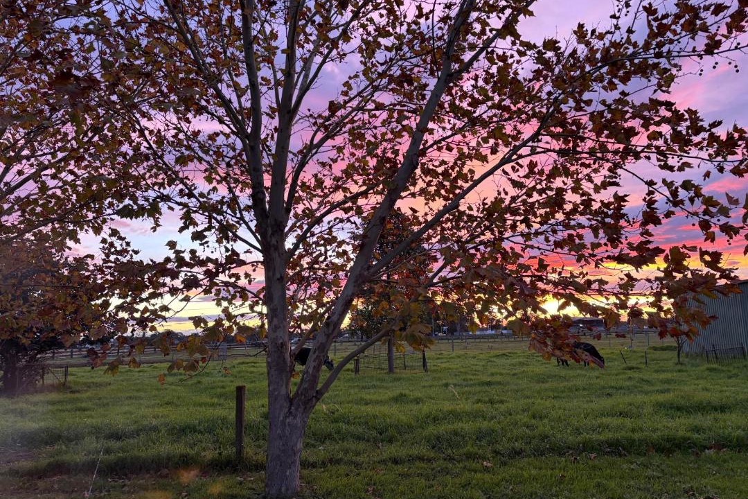 Photo of Others in Lorn