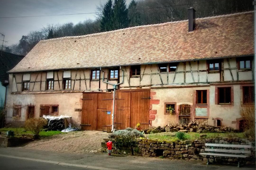 Photo of Others in Reinhardsmunster