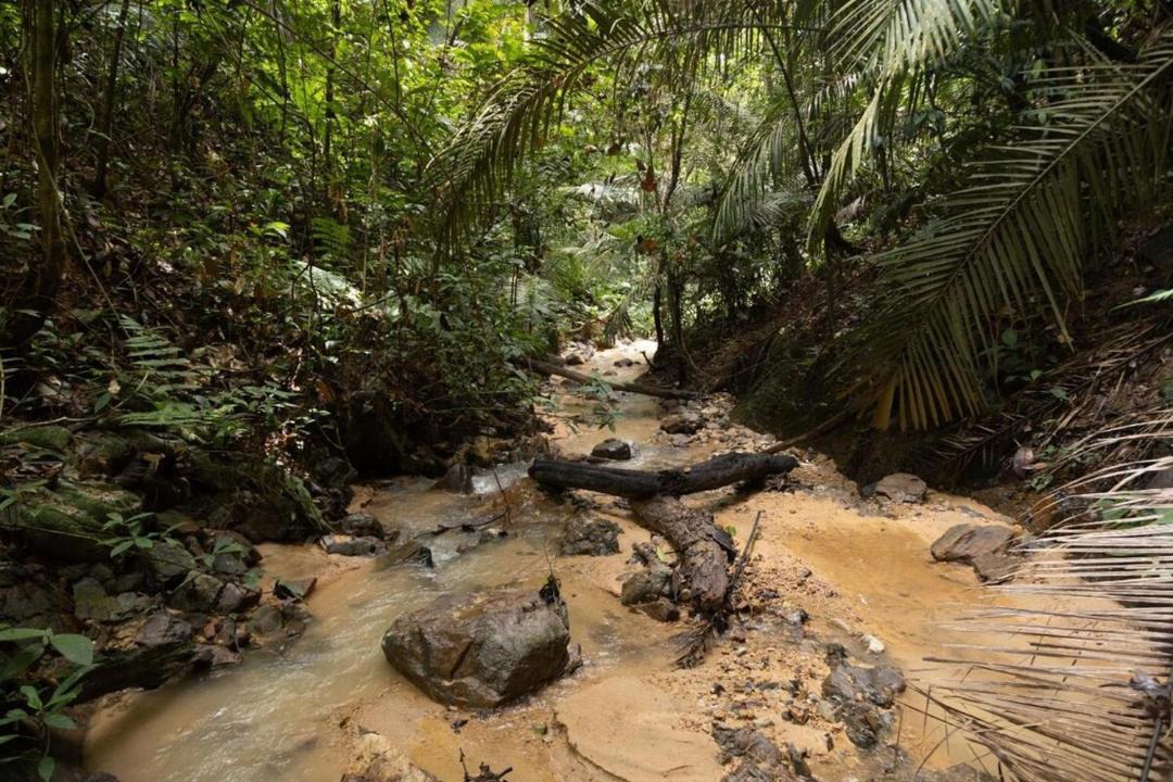 Photo of Others in Hulu Selangor