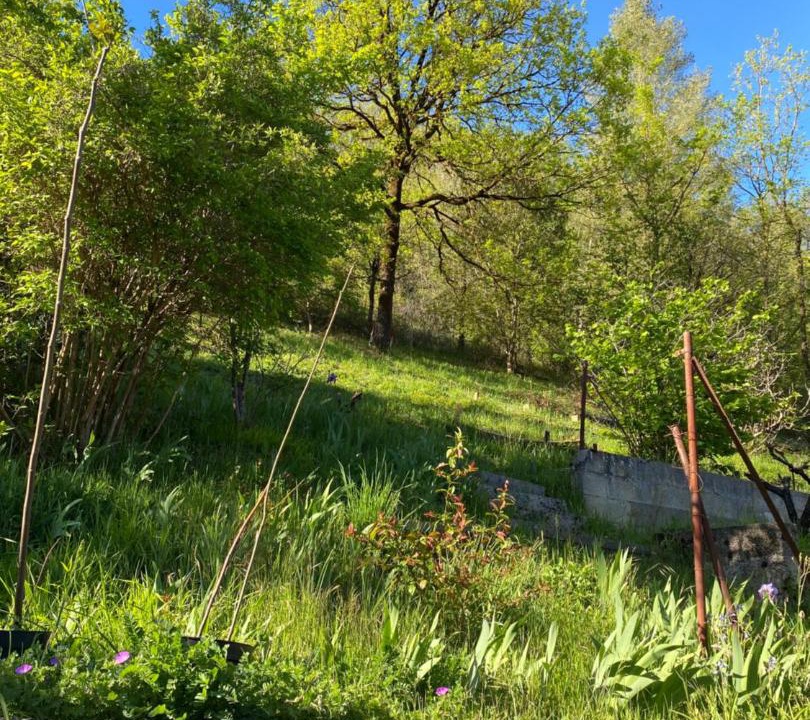 Photo of Outdoor in Sauveterre-la-Lemance