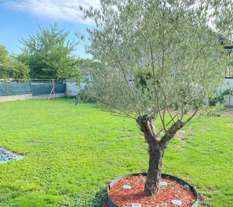 Photo of Outdoor in Les Petites-Loges