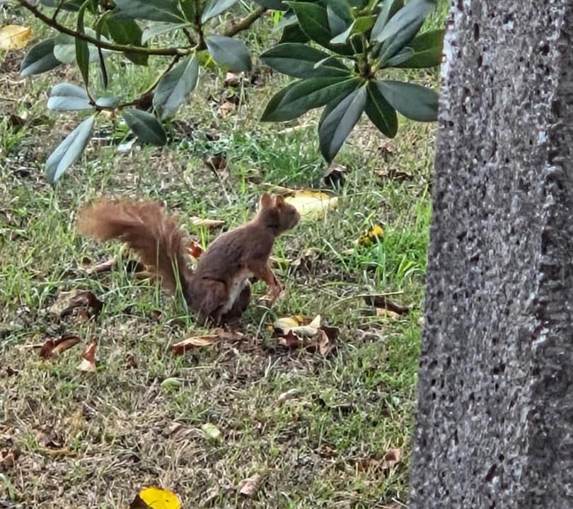 Photo of Others in Saint-Bonnet-Troncais