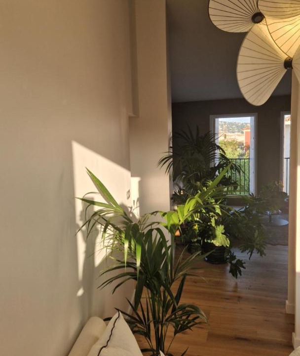 Photo of Others in Port Grimaud