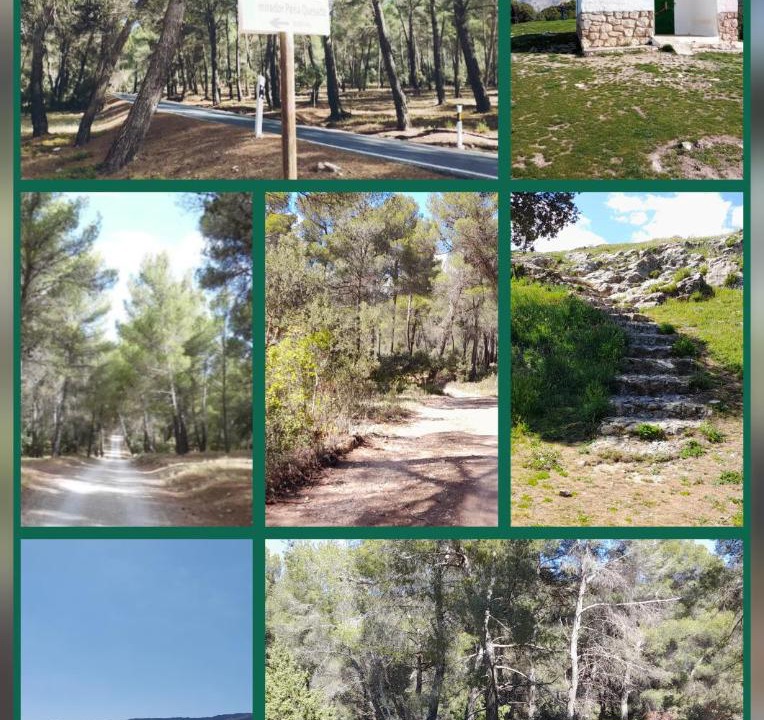 Photo of Others in Cuevas del Campo