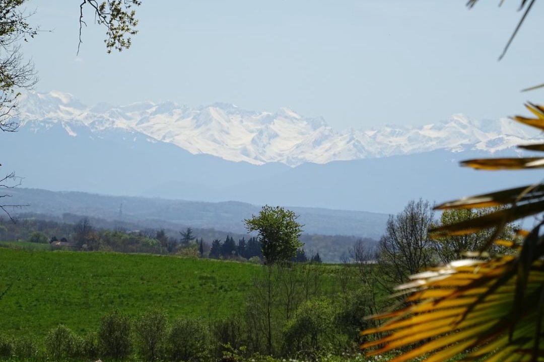 Photo of Others in Blousson-Serian