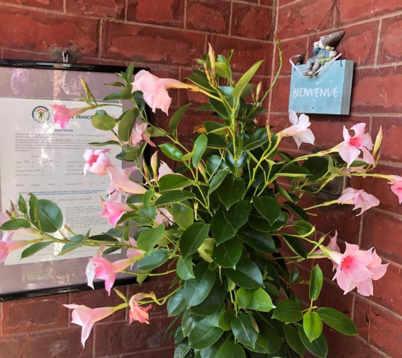 Photo of Others in Verton