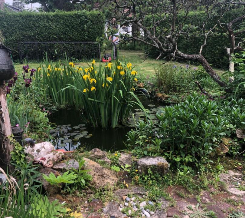 Photo of Outdoor in Verton