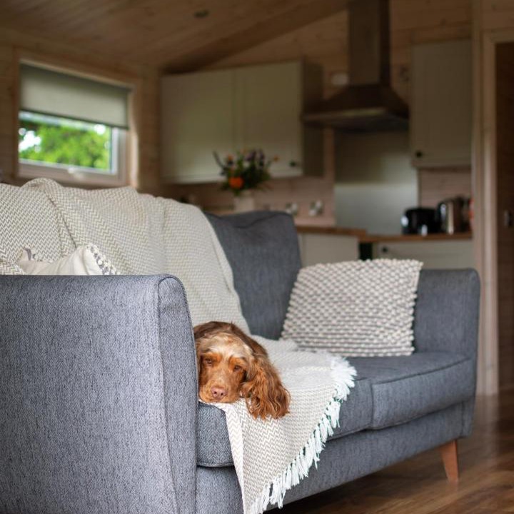 Photo of Livingroom in West Tanfield