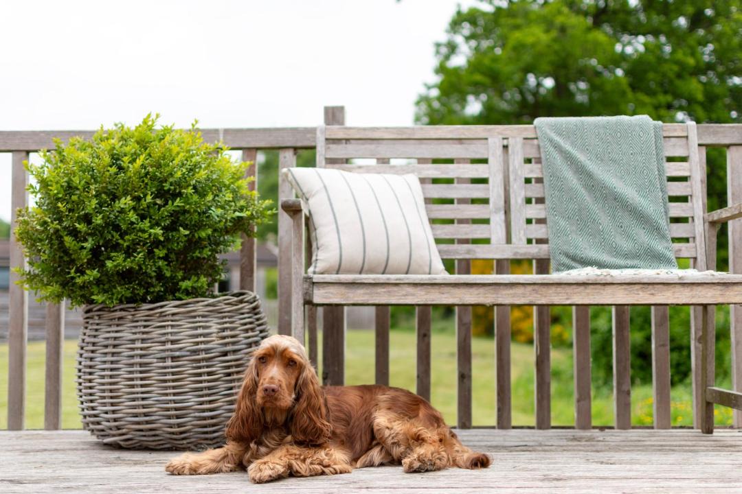 Photo of Others in West Tanfield