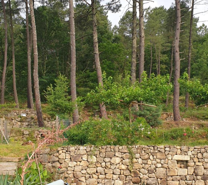 Photo of Others in Rosieres