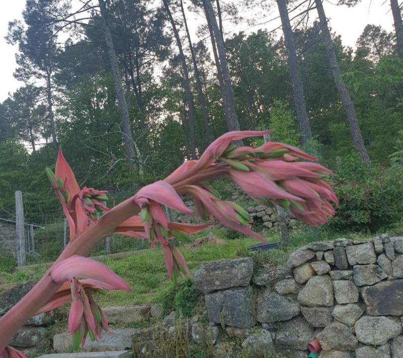 Photo of Others in Rosieres