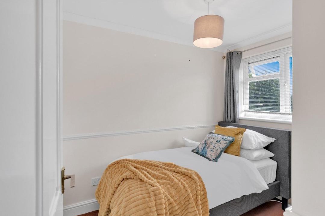 Photo of Others in Belvedere