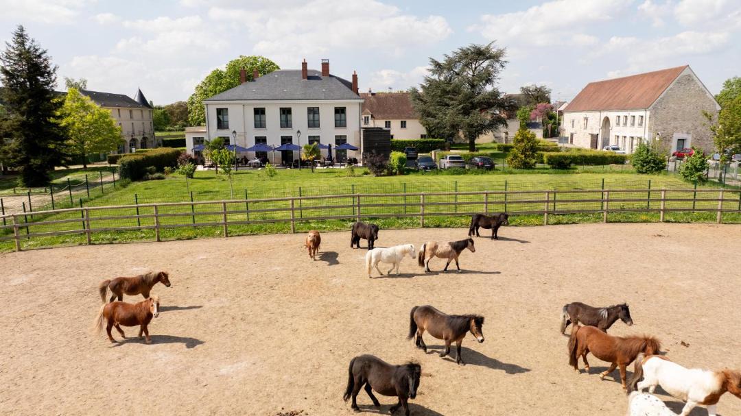Photo of Others in Tremblay-en-France