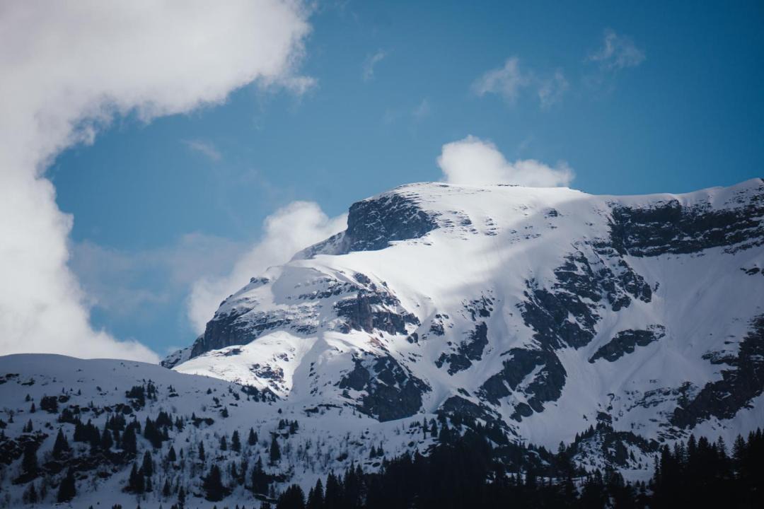 Photo of Others in Brienzwiler