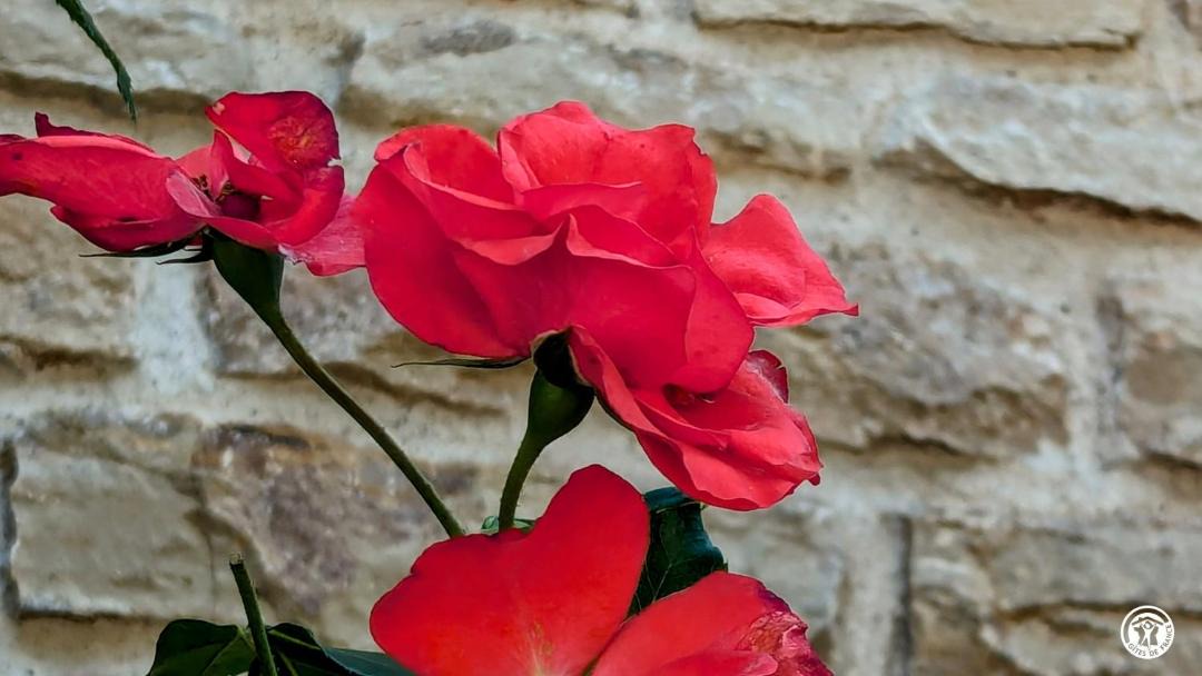 Photo of Others in Villy-le-Moutier