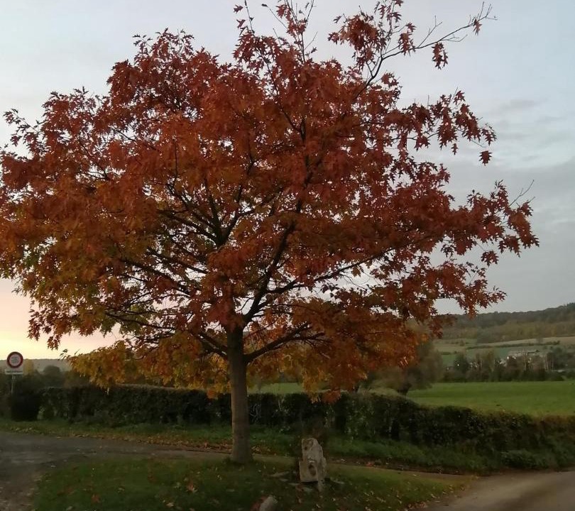 Photo of Others in Villy-sur-Yeres