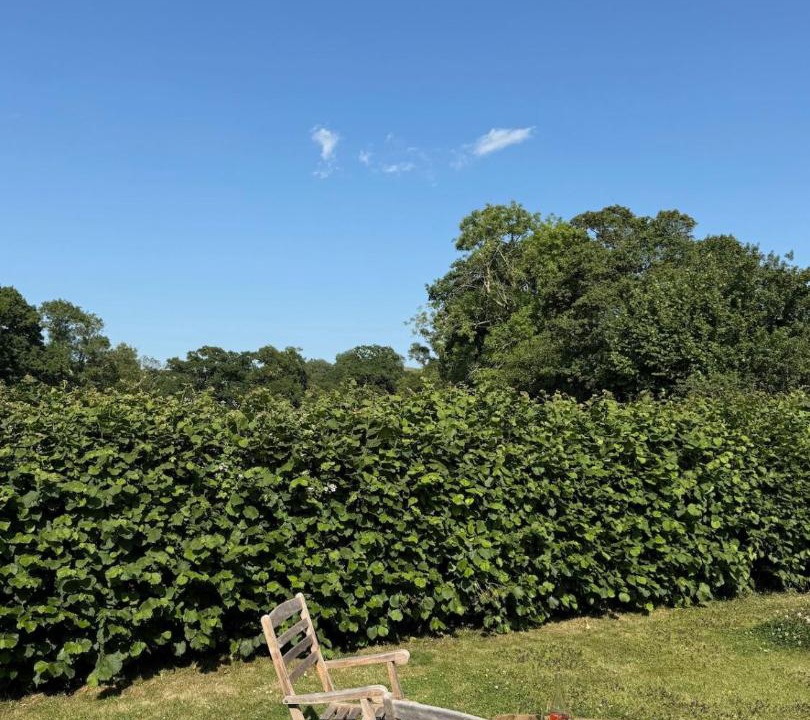 Photo of Others in Bedchester