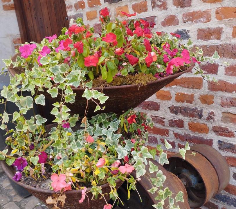 Photo of Others in Haspres