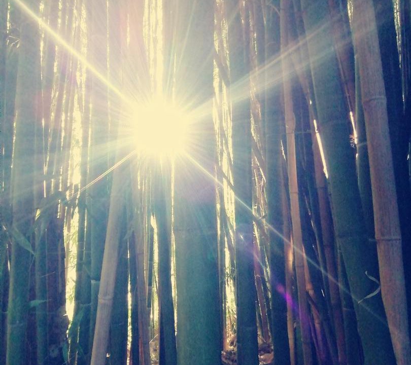 Photo of Others in Saint-Maixent-l'Ecole