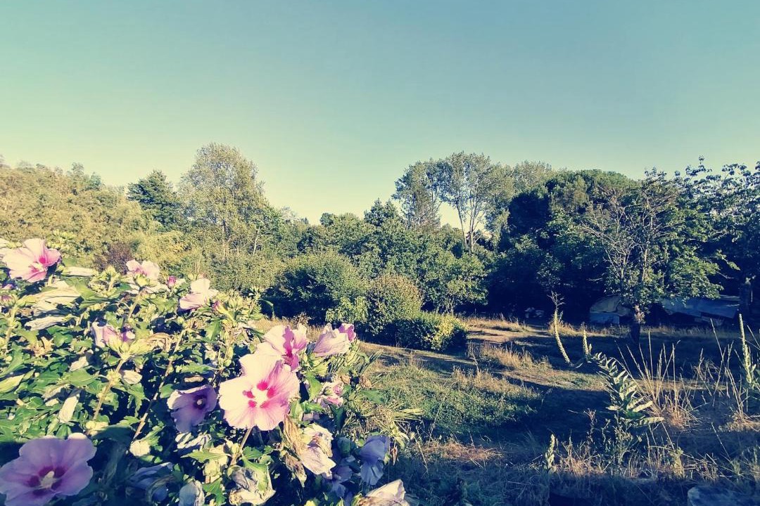 Photo of Others in Saint-Maixent-l'Ecole