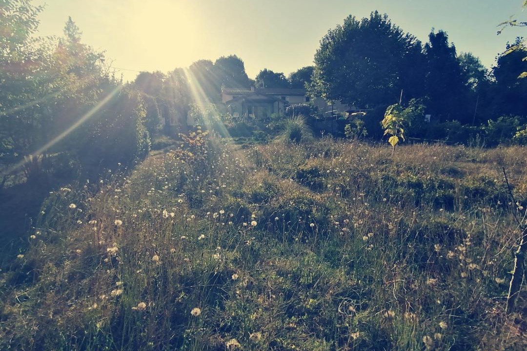 Photo of Others in Saint-Maixent-l'Ecole