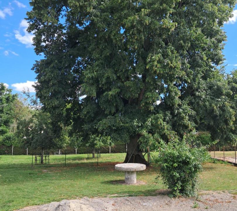 Photo of Others in Pont-d'Ouilly