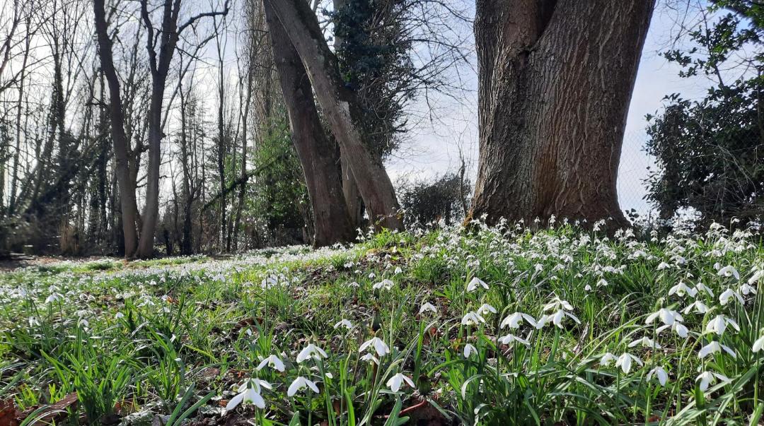 Photo of Outdoor in Flexanville