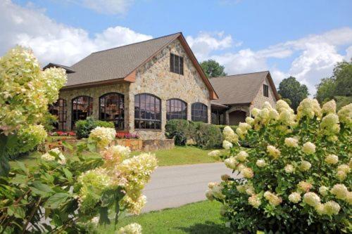 Photo of Others in Dillard