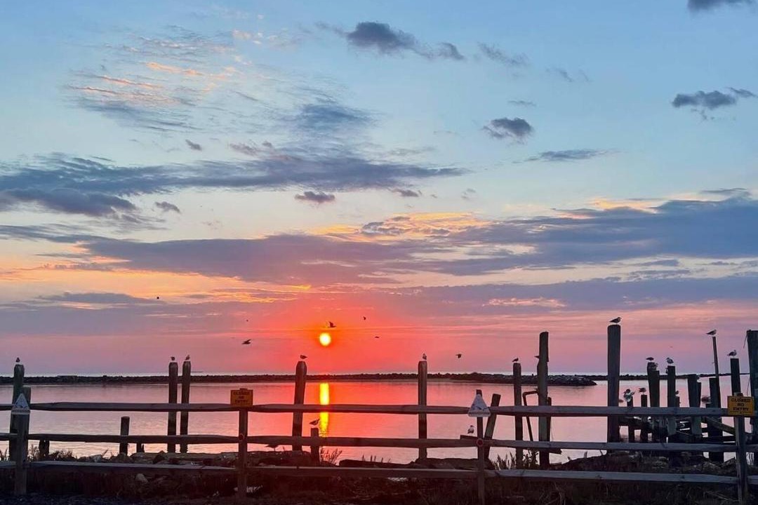Photo of Others in Slaughter Beach