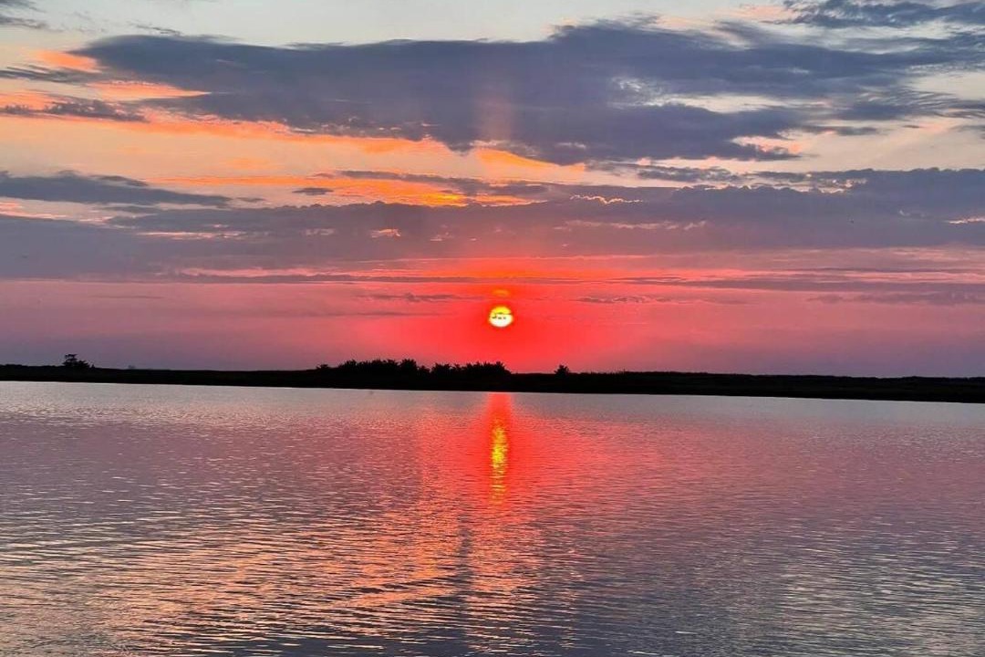 Photo of Others in Slaughter Beach