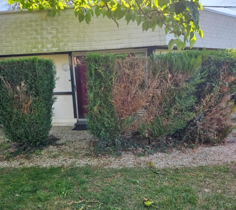 Photo of Others in Escolives-Sainte-Camille