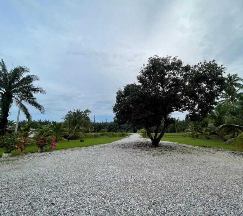 Photo of Others in Hilir Perak District