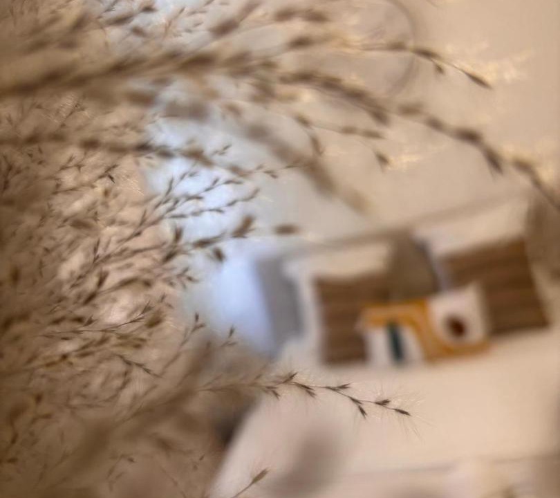 Photo of Others in Rouen City Centre