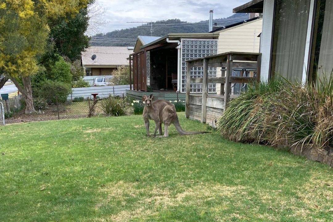 Photo of Others in Mount Beauty