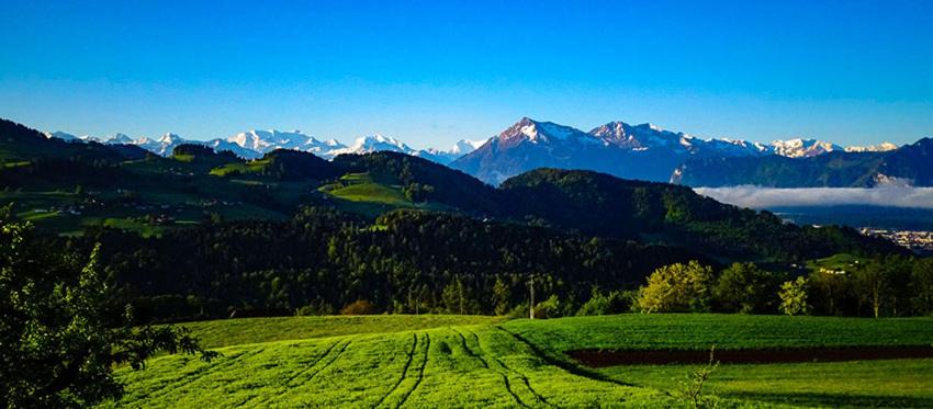 Photo of Others in Fahrni